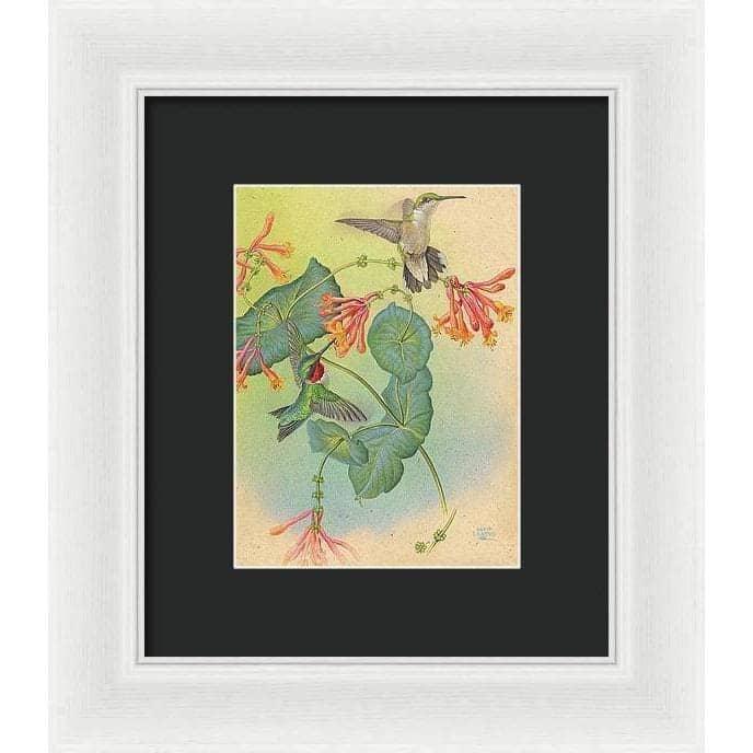 Ruby-throated Hummingbirds with Trumpet Flower - Framed Print | Artwork by Glen Loates