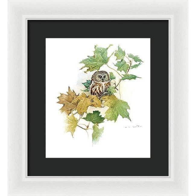 Saw-Whet Owl in Maple Tree - Framed Print | Artwork by Glen Loates