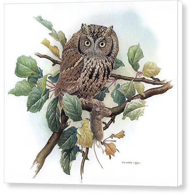 Screech Owl with Field Mouse - Canvas Print | Artwork by Glen Loates