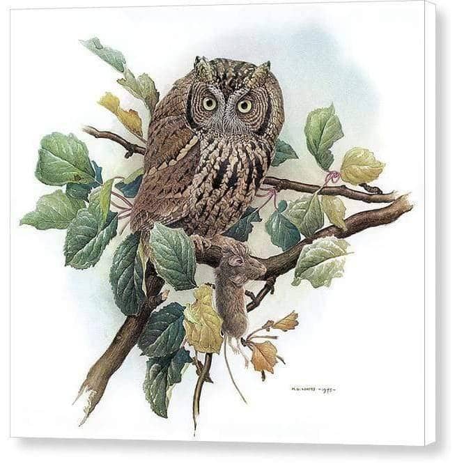 Screech Owl with Field Mouse - Canvas Print | Artwork by Glen Loates