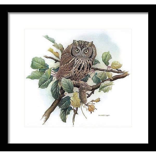 Screech Owl with Field Mouse - Framed Print | Artwork by Glen Loates