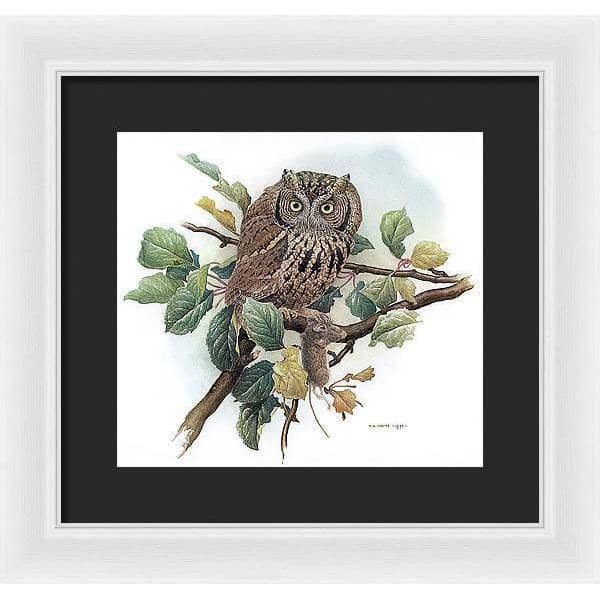 Screech Owl with Field Mouse - Framed Print | Artwork by Glen Loates