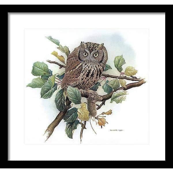 Screech Owl with Field Mouse - Framed Print | Artwork by Glen Loates