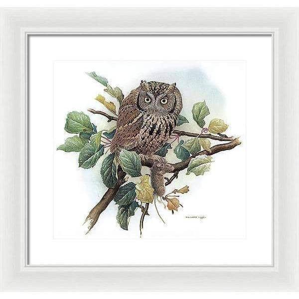 Screech Owl with Field Mouse - Framed Print | Artwork by Glen Loates