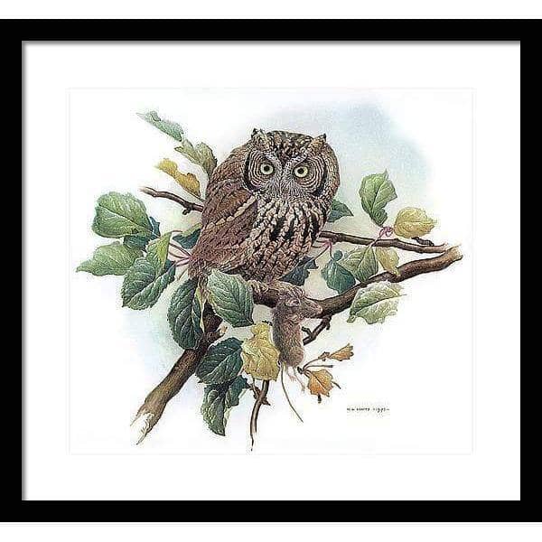 Screech Owl with Field Mouse - Framed Print | Artwork by Glen Loates