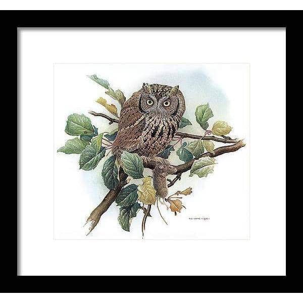 Screech Owl with Field Mouse - Framed Print | Artwork by Glen Loates