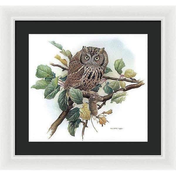 Screech Owl with Field Mouse - Framed Print | Artwork by Glen Loates