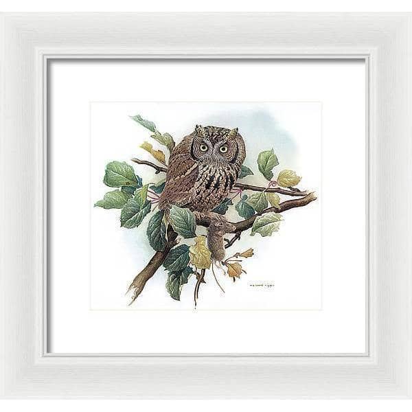 Screech Owl with Field Mouse - Framed Print | Artwork by Glen Loates