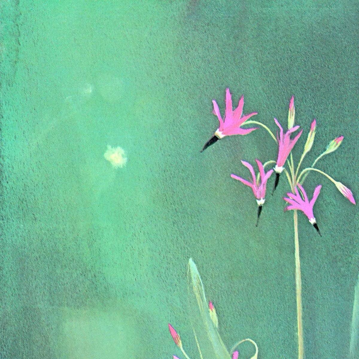 Shooting Stars - Canvas Print | Artwork by Glen Loates