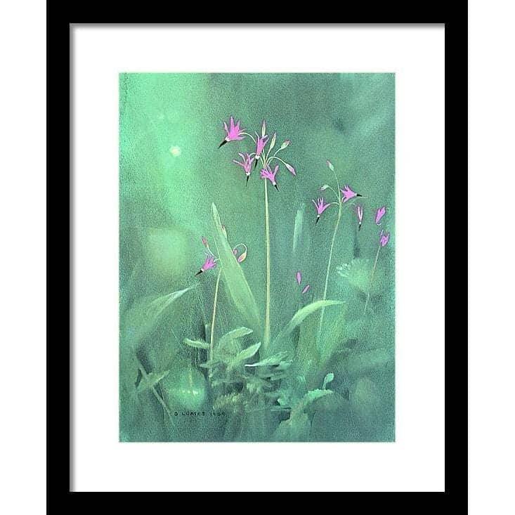 Shooting Stars - Framed Print | Artwork by Glen Loates