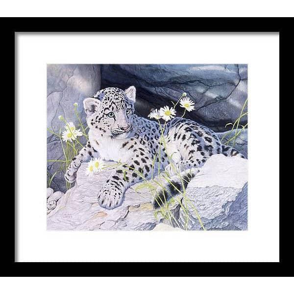Snow Leopard Cub - Framed Print | Artwork by Glen Loates