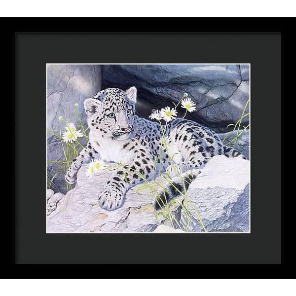 Snow Leopard Cub - Framed Print | Artwork by Glen Loates