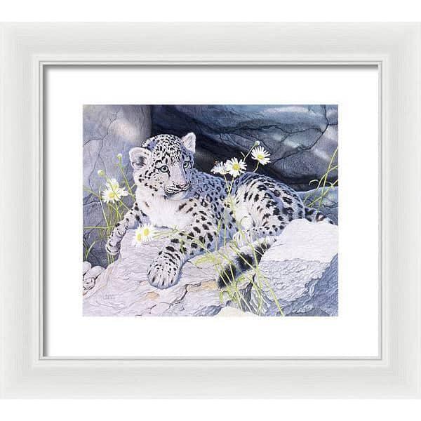 Snow Leopard Cub - Framed Print | Artwork by Glen Loates