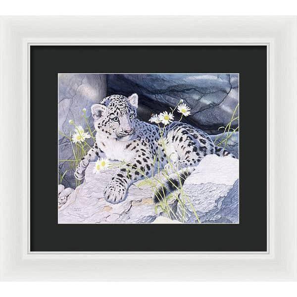 Snow Leopard Cub - Framed Print | Artwork by Glen Loates