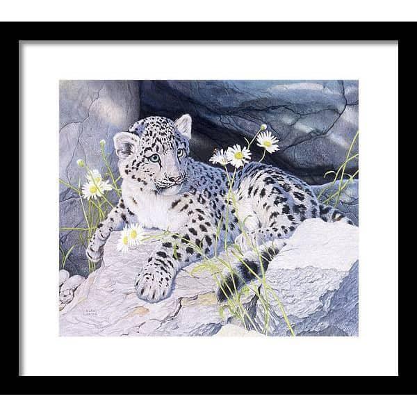 Snow Leopard Cub - Framed Print | Artwork by Glen Loates