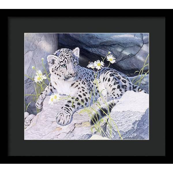 Snow Leopard Cub - Framed Print | Artwork by Glen Loates