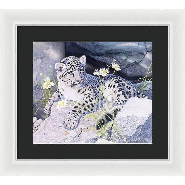 Snow Leopard Cub - Framed Print | Artwork by Glen Loates