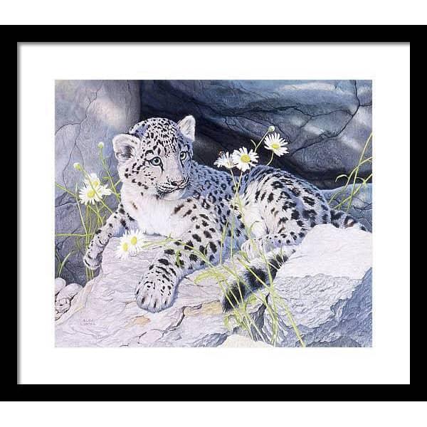 Snow Leopard Cub - Framed Print | Artwork by Glen Loates