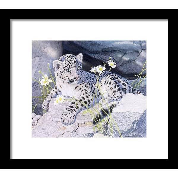 Snow Leopard Cub - Framed Print | Artwork by Glen Loates