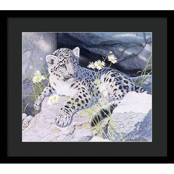 Snow Leopard Cub - Framed Print | Artwork by Glen Loates