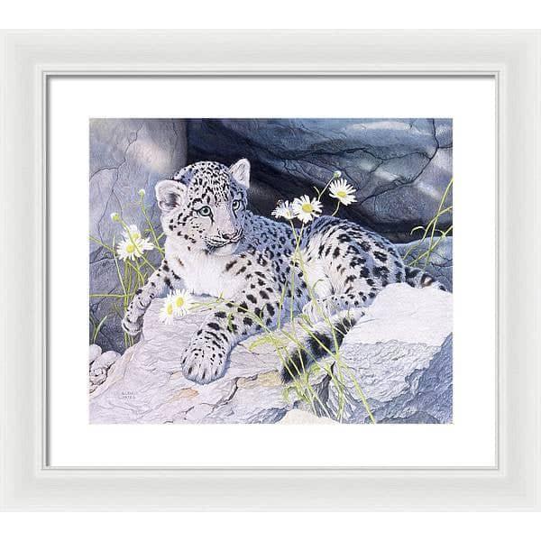 Snow Leopard Cub - Framed Print | Artwork by Glen Loates