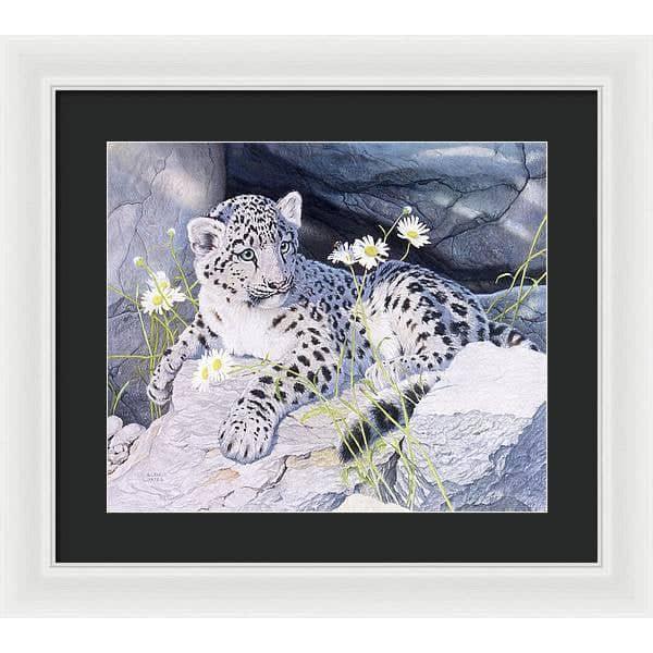 Snow Leopard Cub - Framed Print | Artwork by Glen Loates