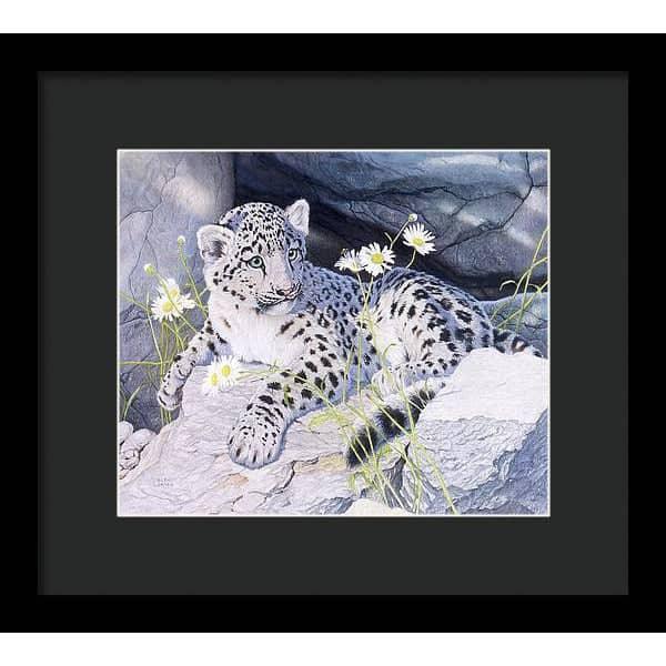 Snow Leopard Cub - Framed Print | Artwork by Glen Loates