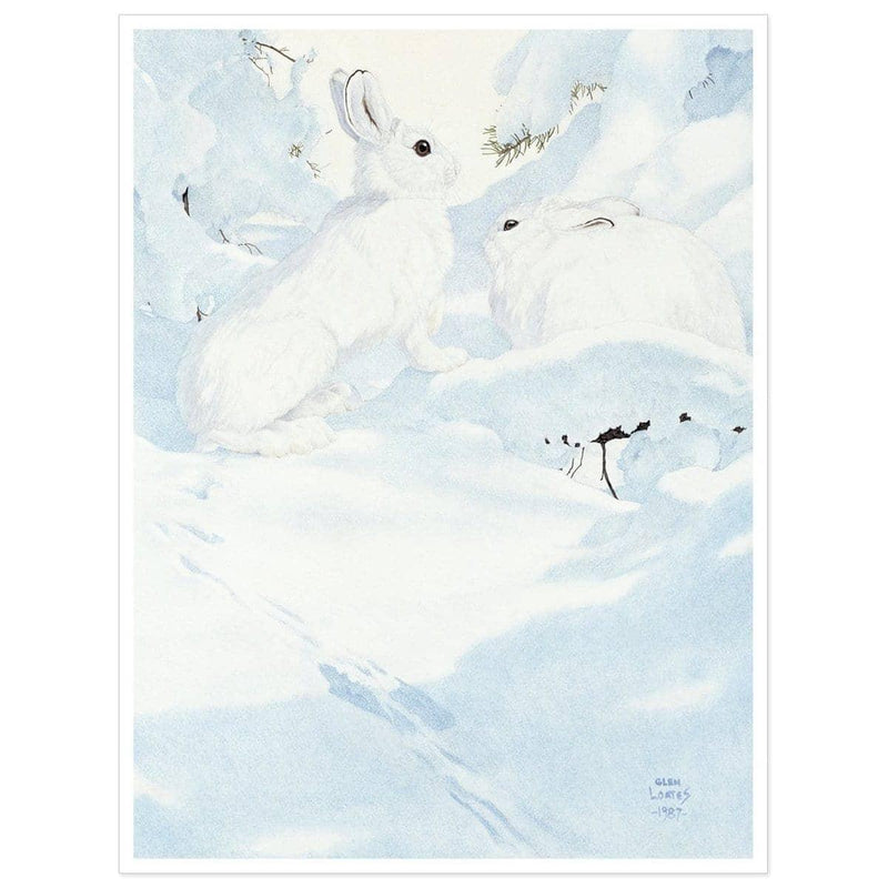 Snowshoe Hare - Art Print | Artwork by Glen Loates