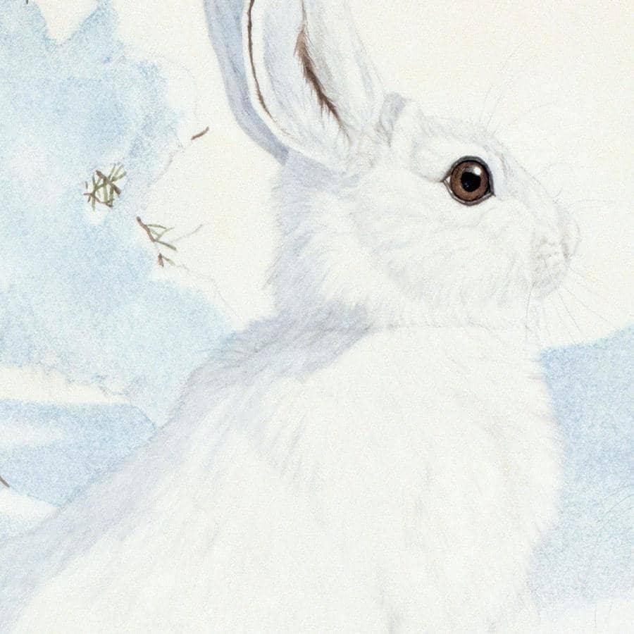 Snowshoe Hare - Canvas Print | Artwork by Glen Loates