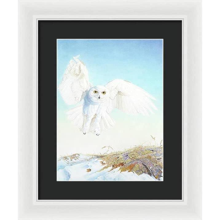 Snowy Owl - Framed Print | Artwork by Glen Loates