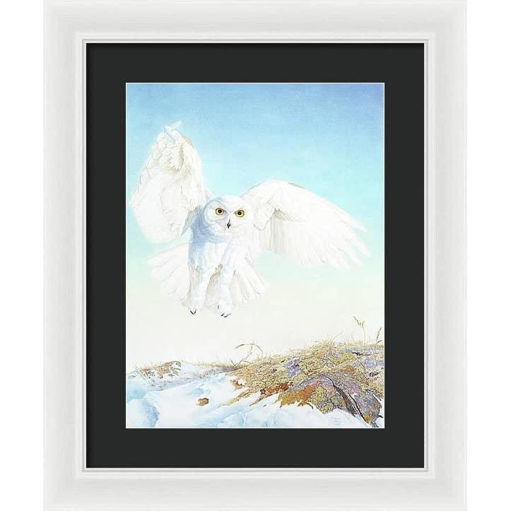 Snowy Owl - Framed Print | Artwork by Glen Loates