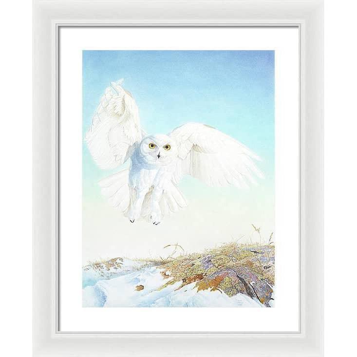 Snowy Owl - Framed Print | Artwork by Glen Loates