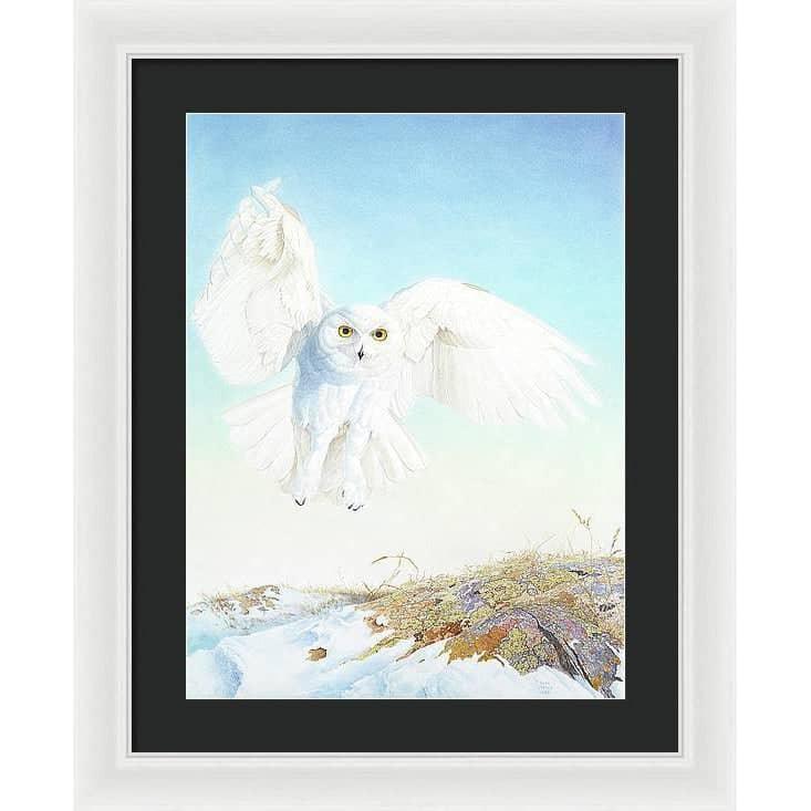 Snowy Owl - Framed Print | Artwork by Glen Loates