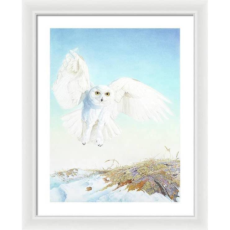 Snowy Owl - Framed Print | Artwork by Glen Loates