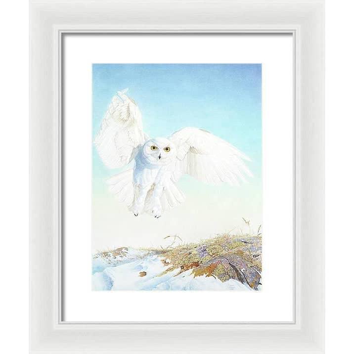 Snowy Owl - Framed Print | Artwork by Glen Loates