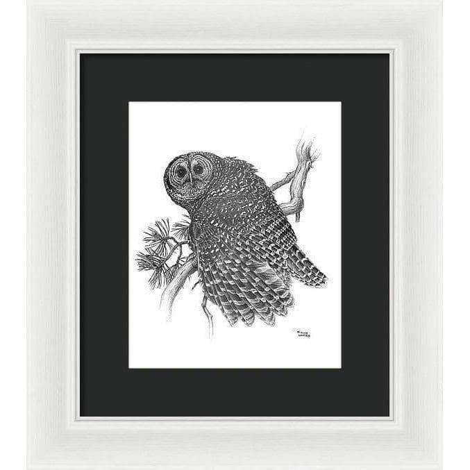 Spotted Owl - Framed Print | Artwork by Glen Loates