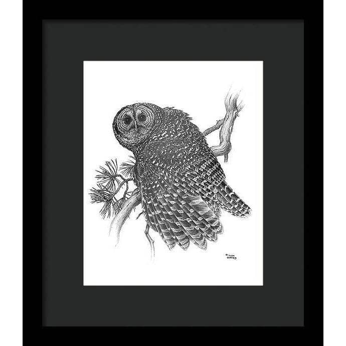 Spotted Owl - Framed Print | Artwork by Glen Loates
