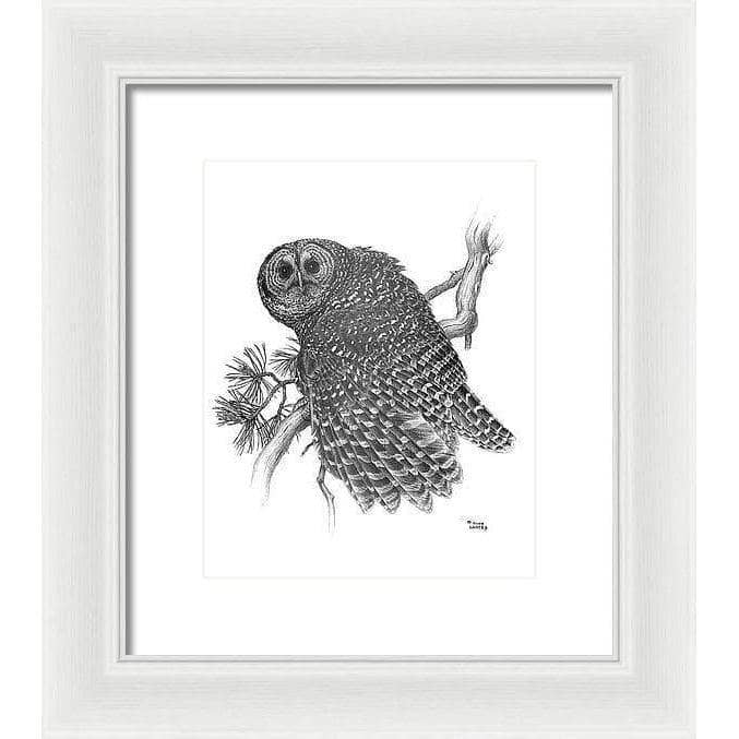 Spotted Owl - Framed Print | Artwork by Glen Loates