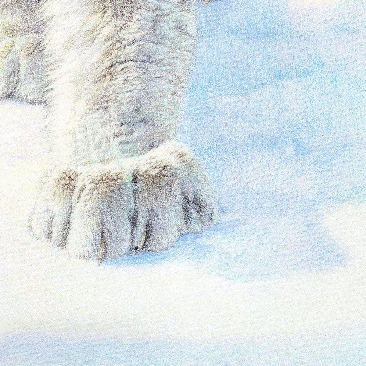 Stalking Lynx - Art Print | Artwork by Glen Loates
