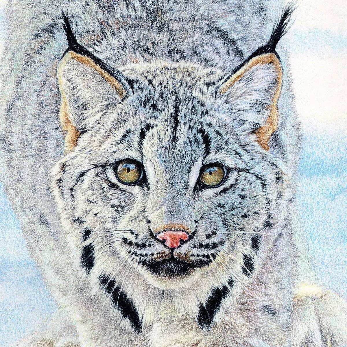 Stalking Lynx - Canvas Print | Artwork by Glen Loates