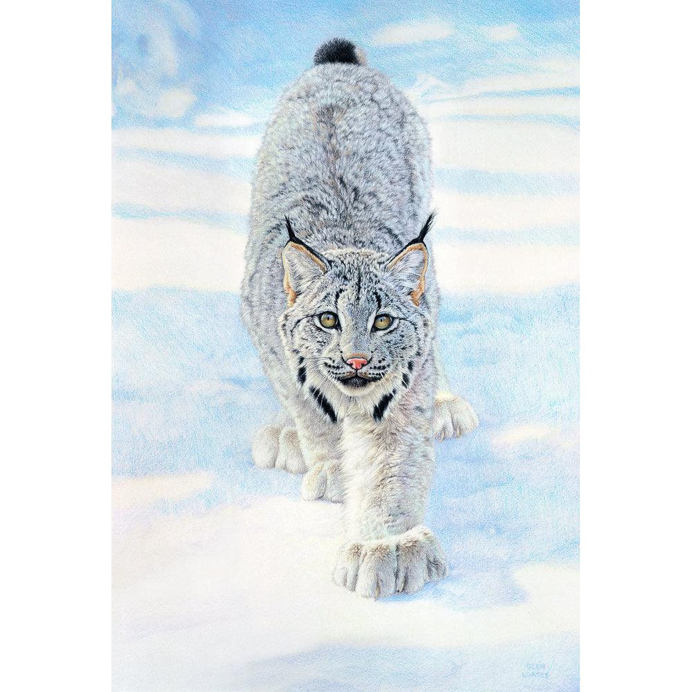 Stalking Lynx - Canvas Print | Artwork by Glen Loates