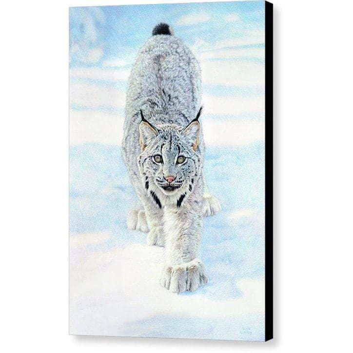 Stalking Lynx - Canvas Print | Artwork by Glen Loates