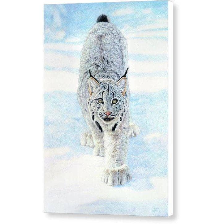 Stalking Lynx - Canvas Print | Artwork by Glen Loates