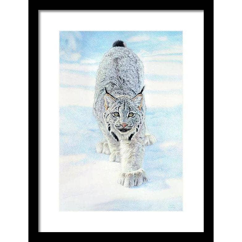 Stalking Lynx - Framed Print | Artwork by Glen Loates