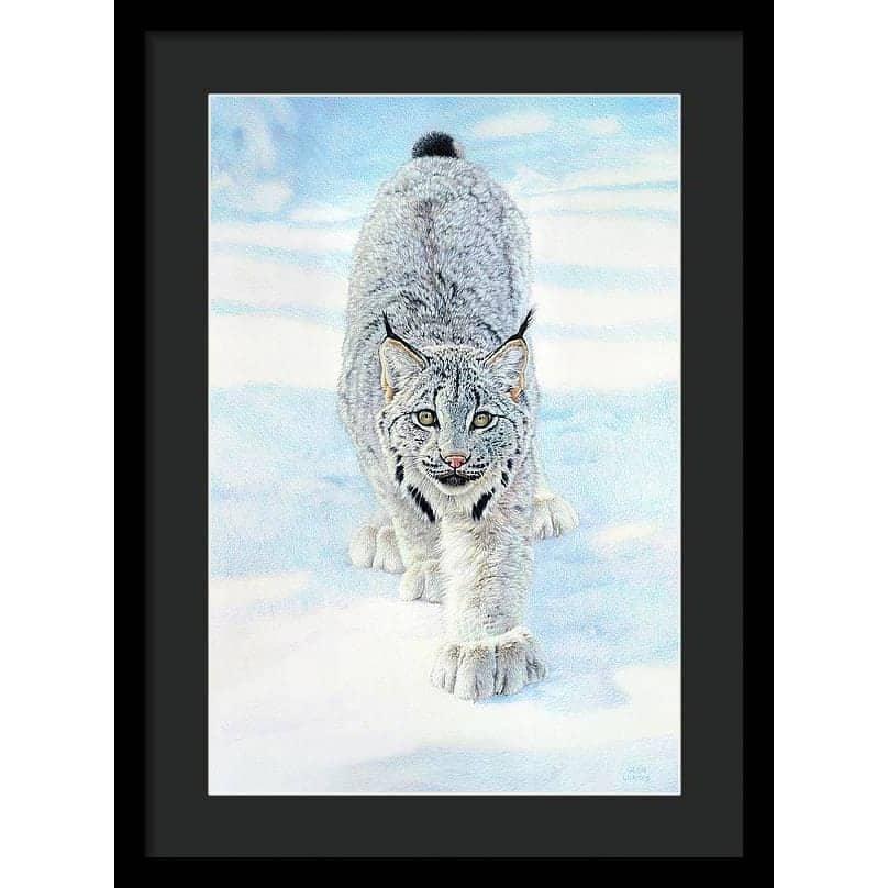Stalking Lynx - Framed Print | Artwork by Glen Loates