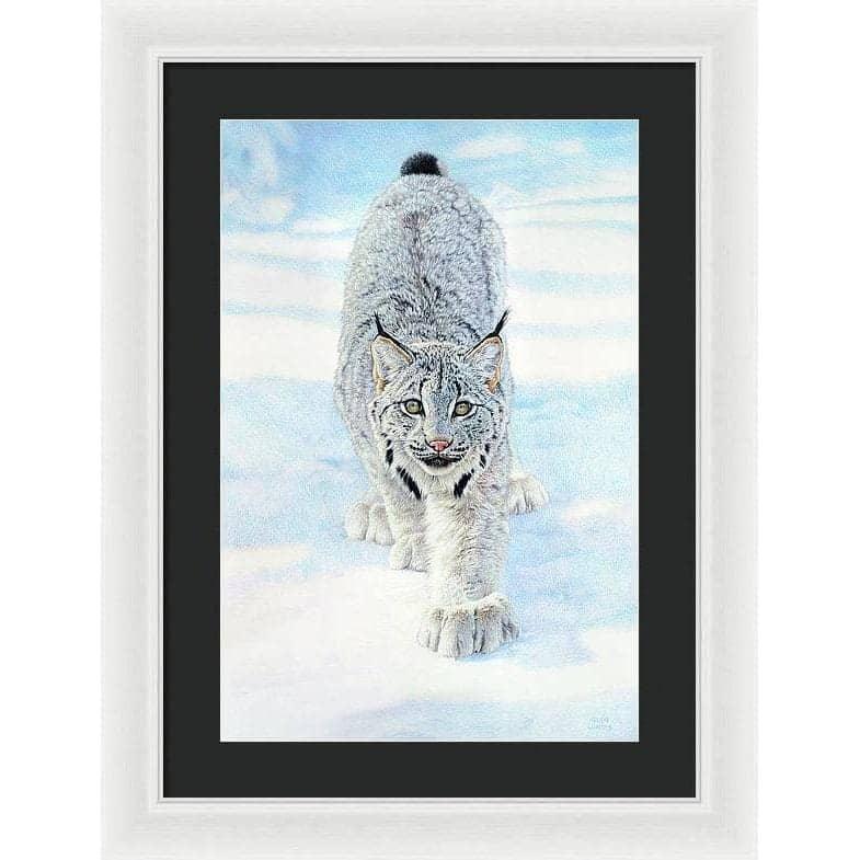 Stalking Lynx - Framed Print | Artwork by Glen Loates