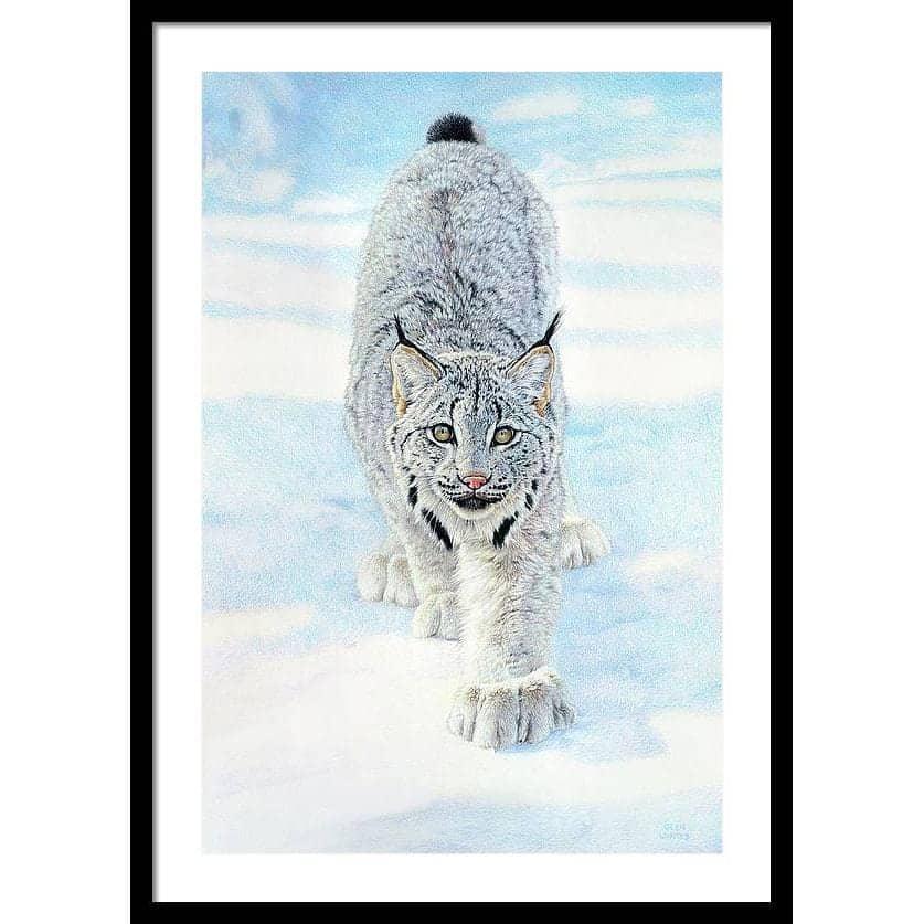 Stalking Lynx - Framed Print | Artwork by Glen Loates