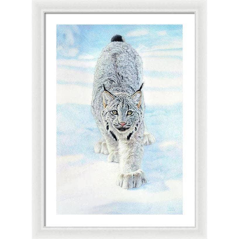 Stalking Lynx - Framed Print | Artwork by Glen Loates