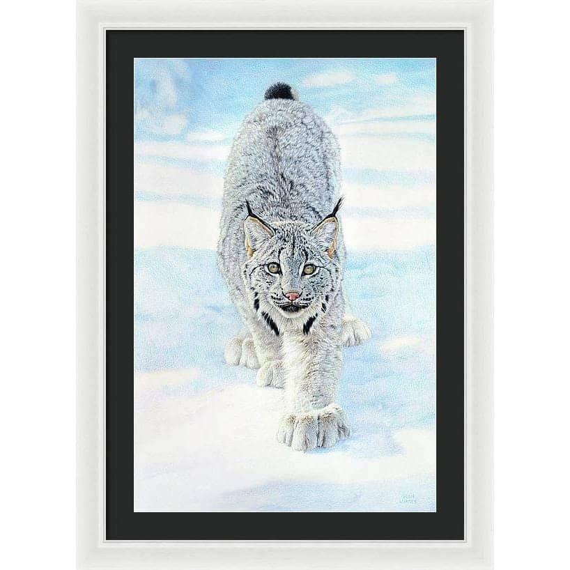 Stalking Lynx - Framed Print | Artwork by Glen Loates