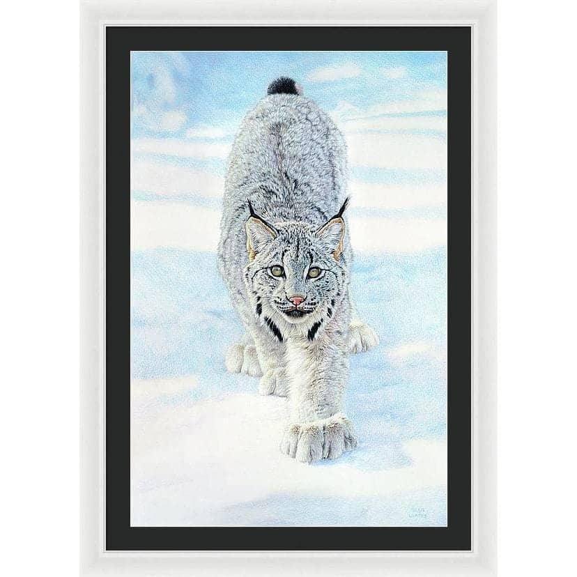 Stalking Lynx - Framed Print | Artwork by Glen Loates